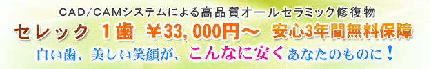 セレック３　１歯 ¥３３，０００円～　安心３年間無料保障